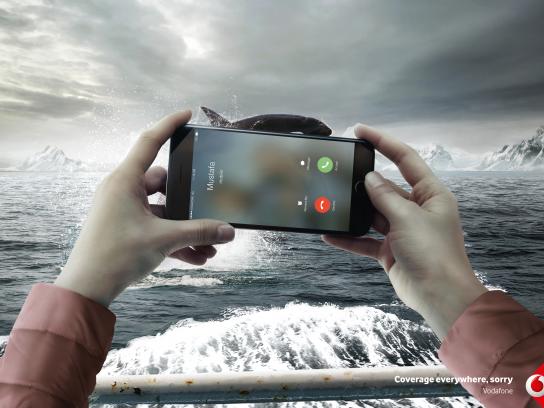 vodafone-coverage-sorry-whale.jpg