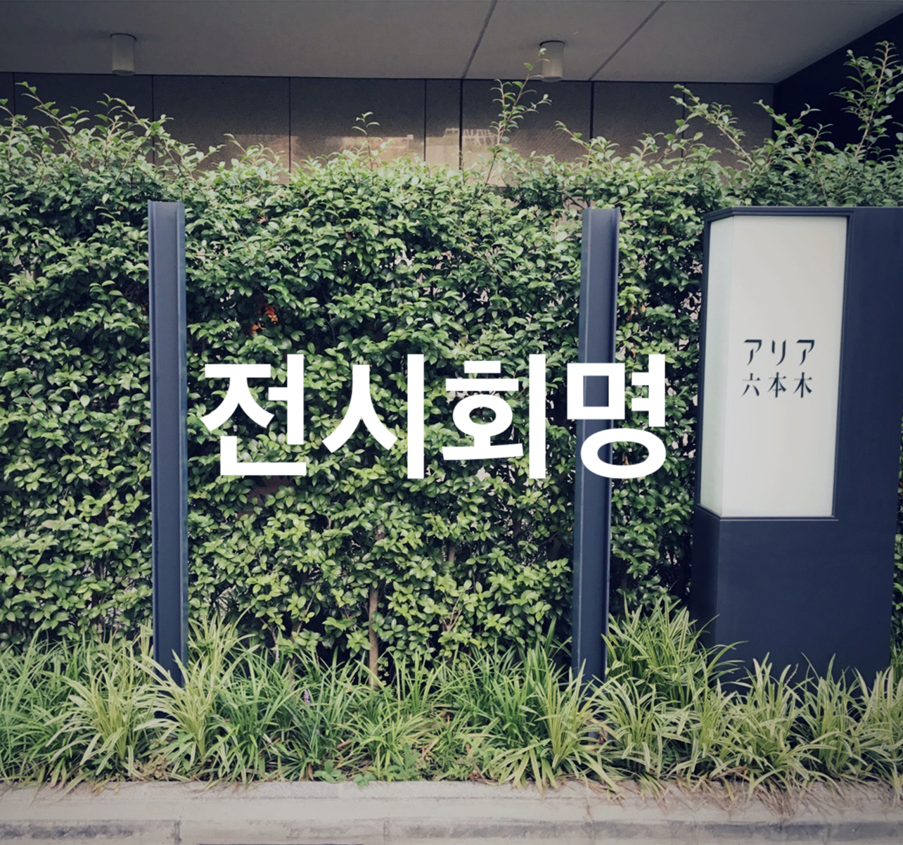 “M_exhibition.jpg"